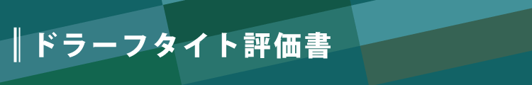 評価書